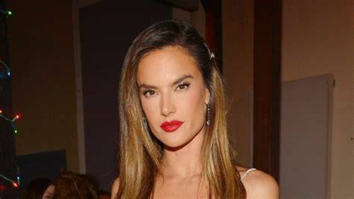 Alessandra Ambrosio in Bathing Suit Says "Sun is Shining" — Celebwell