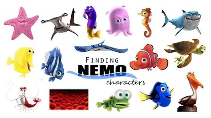 Are there sharks in Finding Nemo? – Celebrity