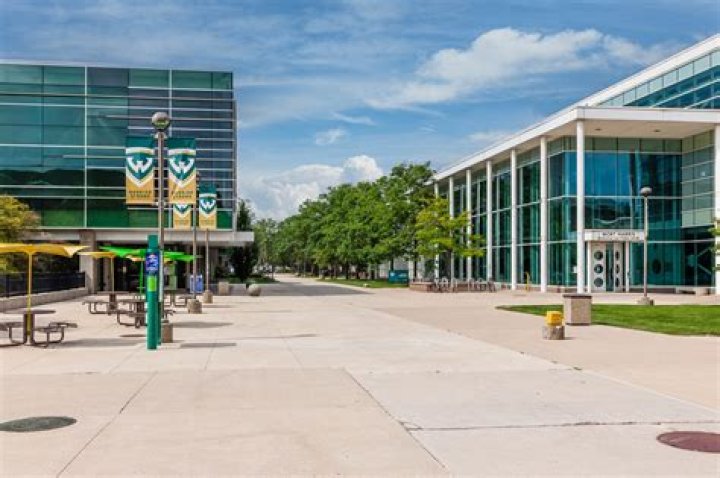 Brady Hessbrook Died by Suicide, Funeral Arrangement, Ithaca, Michigan & Wayne State University Student