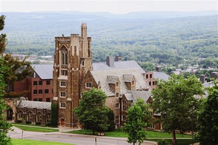 Did Ed Helms really go to Cornell? – Celebrity