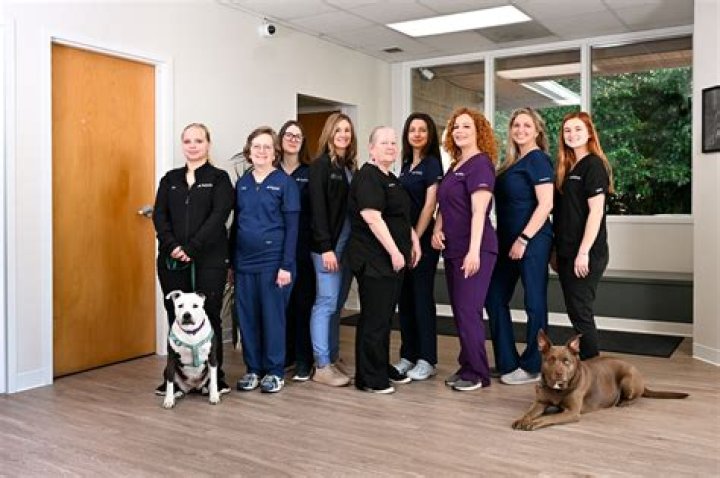 Evelyn Bock Obituary, Visitation & Funeral , Southwick Veterinary Hospital owner