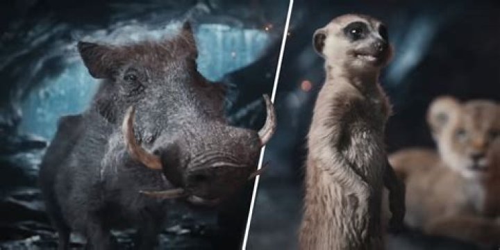 How did Timon and Pumbaa meet? – Celebrity