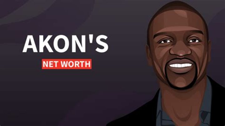 
How Much Money Does Akon Make? Latest Income Salary
