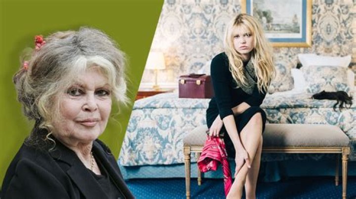 
How Much Money Does Brigitte Bardot Make? Latest Income Salary
