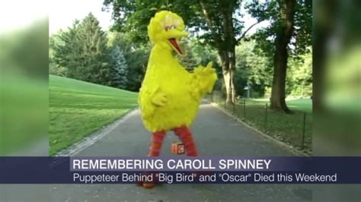 
How Much Money Does Caroll Spinney Make? Latest Income Salary
