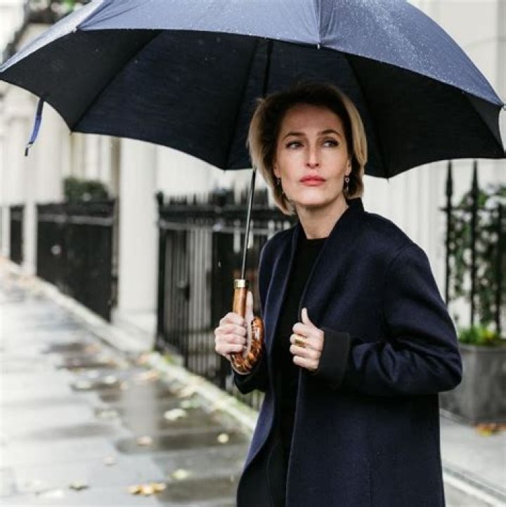 
How Much Money Does Gillian Anderson Make? Latest Income Salary
