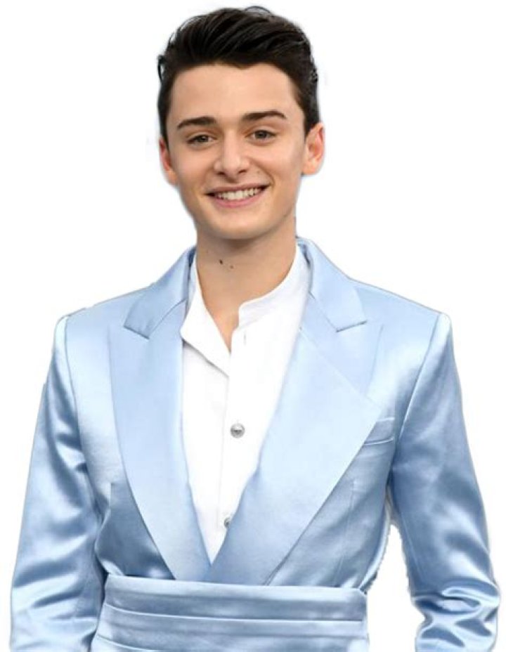 
How Much Money Does Noah Schnapp Make? Latest Income Salary
