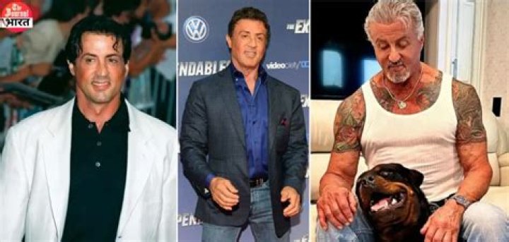 
How Much Money Does Sylvester Stallone Make? Latest Income Salary
