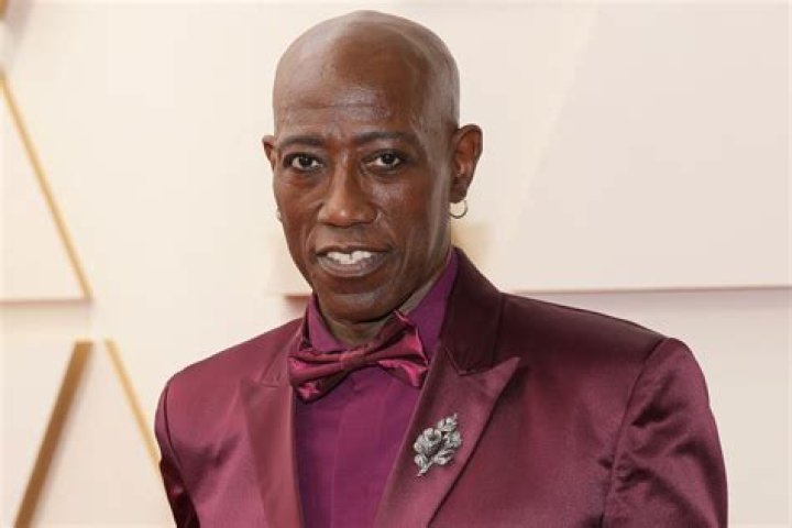 
How Much Money Does Wesley Snipes Make? Latest Income Salary
