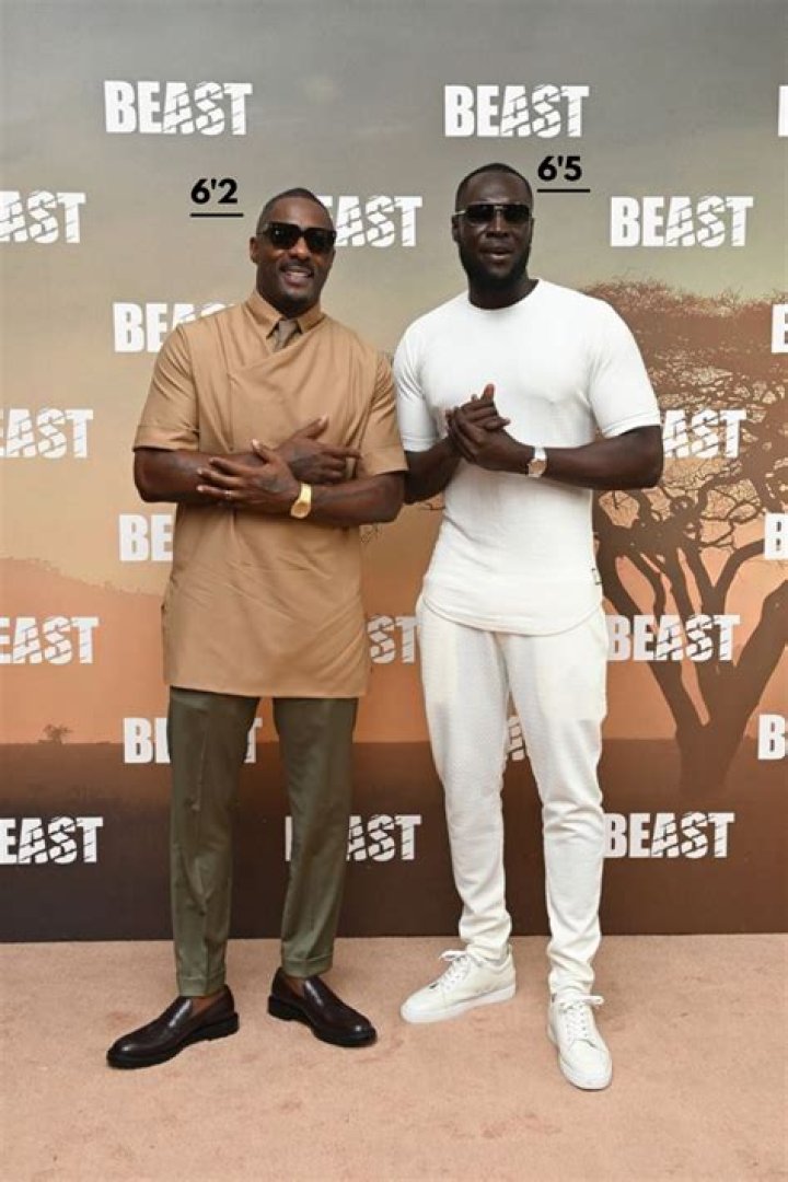 Idris Elba Body Measurements Height Weight Biceps Size Vital Statistics