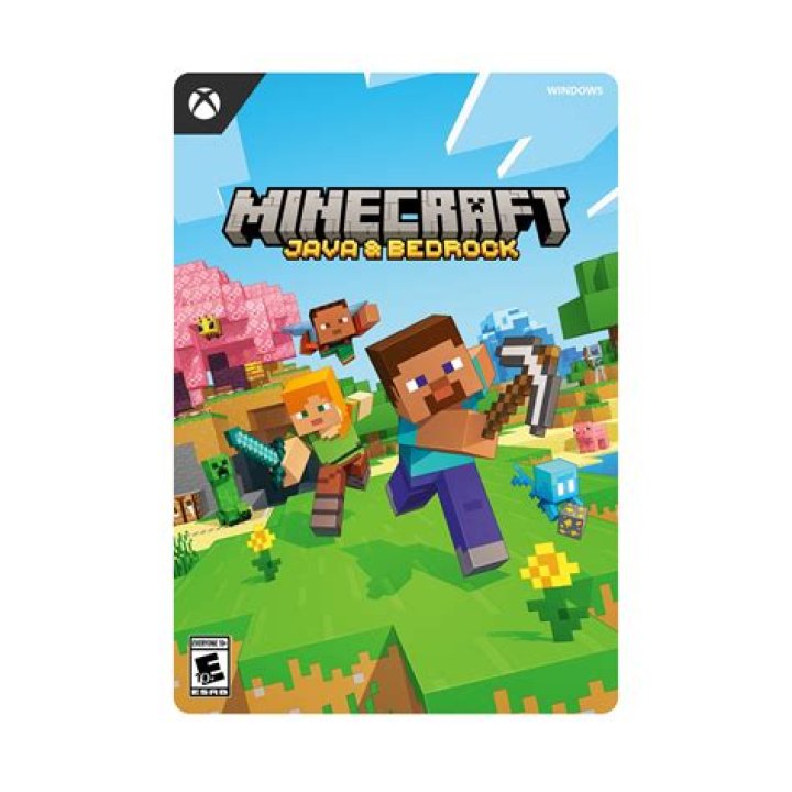 Is A Nintendo Switch Minecraft Bedrock Or Java? – Celebrity