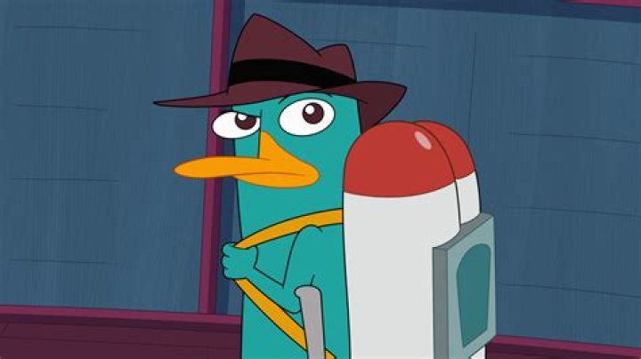 Is Perry the Platypus a girl? – Celebrity