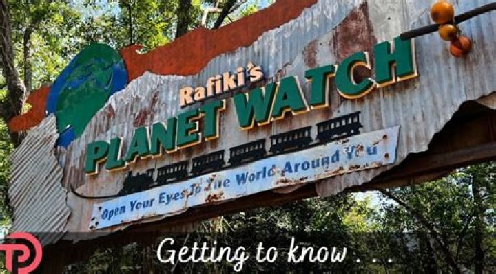 Is Rafiki’s Planet Watch worth it? – Celebrity