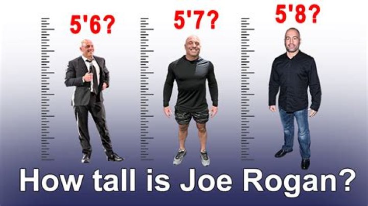 Joe Rogan Height Weight Body Measurements Age Shoe Size Ethnicity