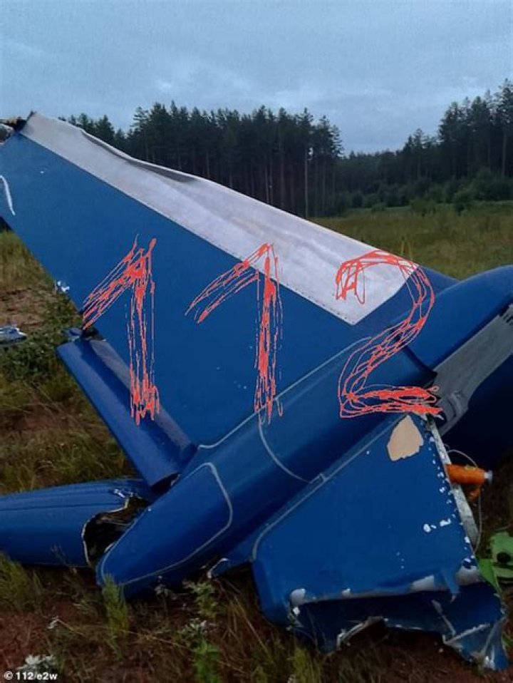 Lewis Brant Barnes Died in Plane Crash, Owner of MH Pizza Store