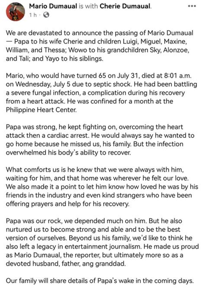 Mario Dumaual Wife; Meet Cherie Dumaual