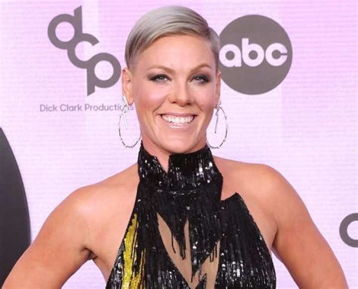 Pink in Bathing Suit Has "Lake Weekends" — Celebwell