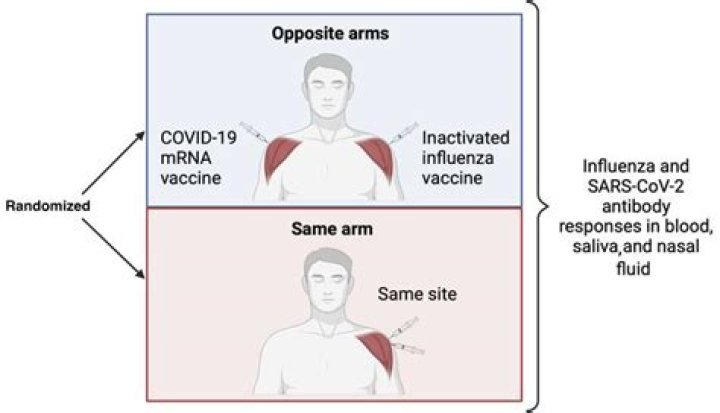 Ray Liotta Autopsy Report, Cause of Death Not Covid Nor Vaccine : What Happened To Him?