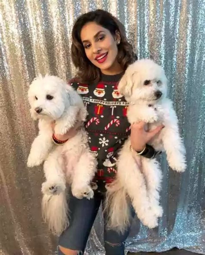 Sim Khurme [Model] Biography, Real Age, Photos & More