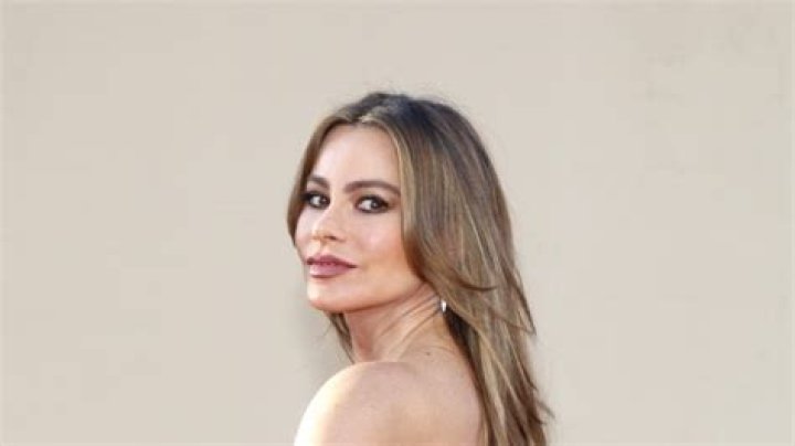 Sofia Vergara Shares Bathing Suit Video Before Announcing Divorce — Celebwell