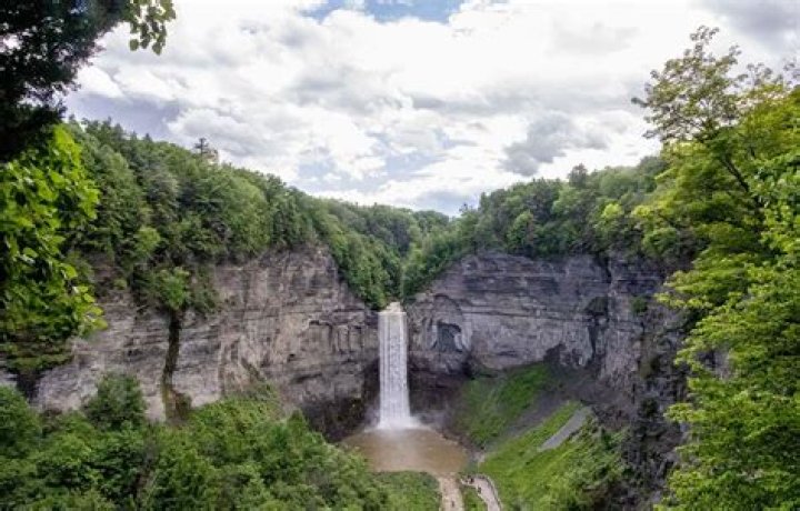 Tammey McWilliams Found Dead In Great Falls
