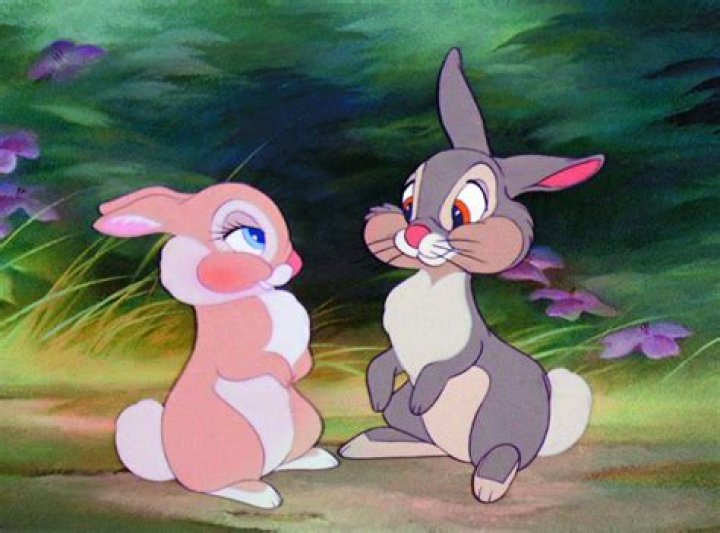 What are the Bunnies names in Bambi? – Celebrity