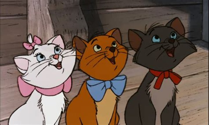 What breed of cat is Berlioz from Aristocats? – Celebrity