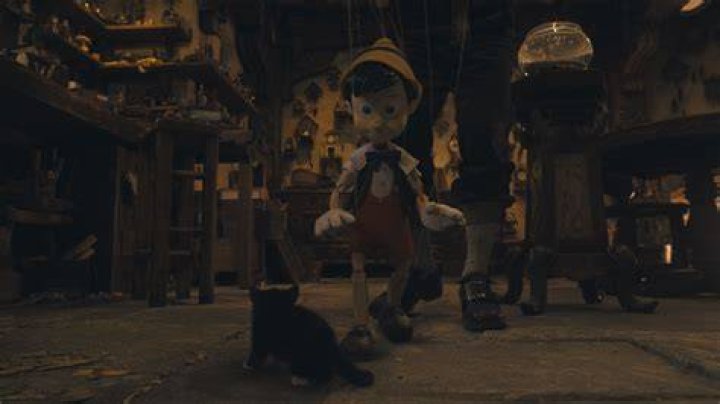 What happened to the donkey children in Pinocchio? – Celebrity