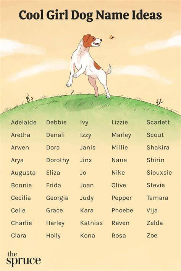 What is Andy’s dog’s name? – Celebrity