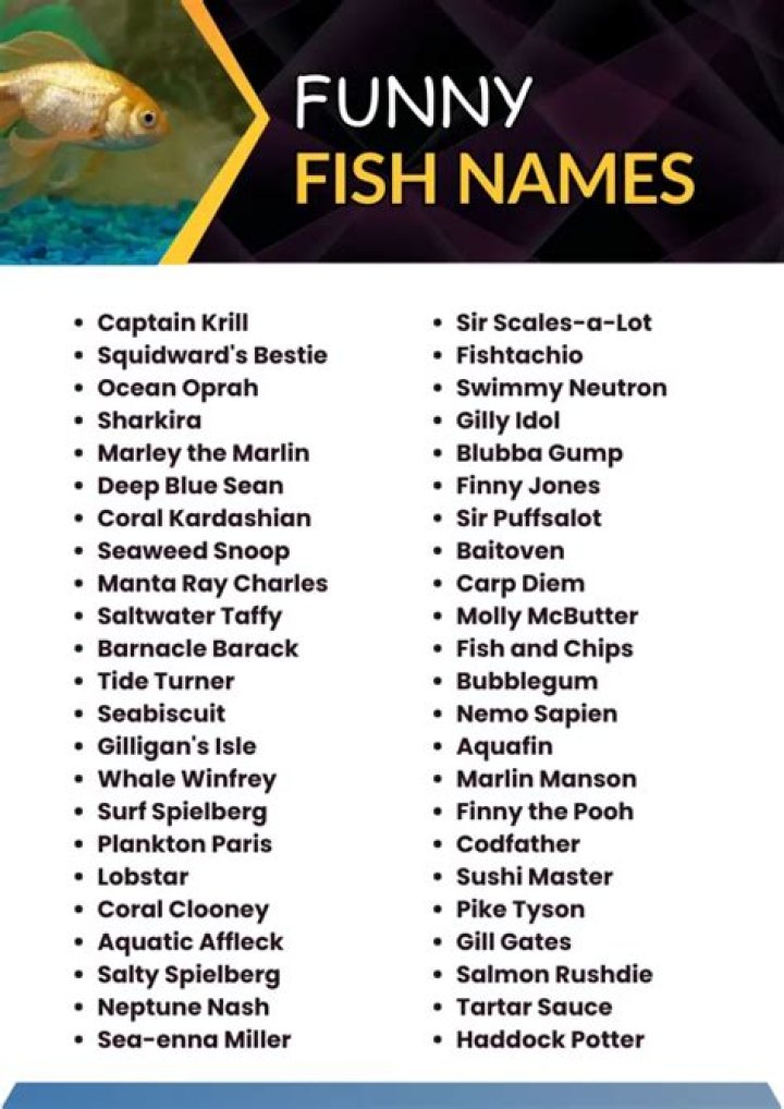 What Is Pudge the fish? – Celebrity