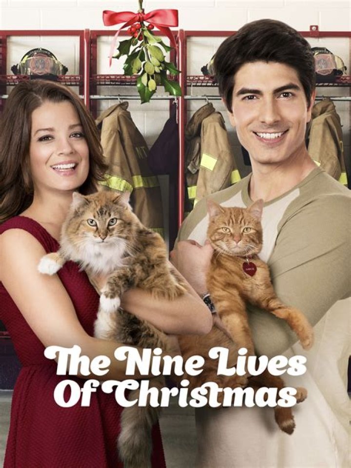 What is the name of the stray tabby cat in The Nine Lives of Christmas? – Celebrity