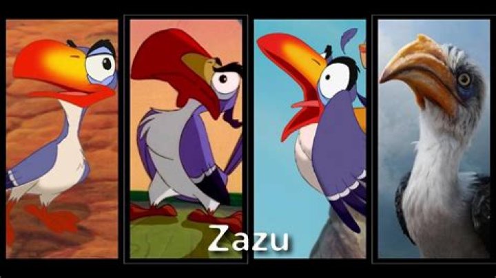 What is Zazu in Swahili? – Celebrity