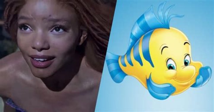 What kind of fish is BEA from fish hooks? – Celebrity