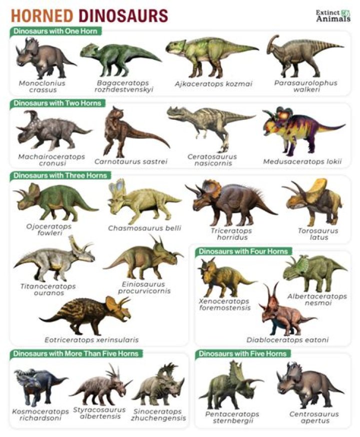 What type of dinosaur is Mr Richfield? – Celebrity