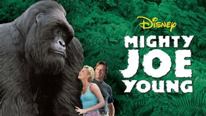 Where does Mighty Joe Young take place? – Celebrity