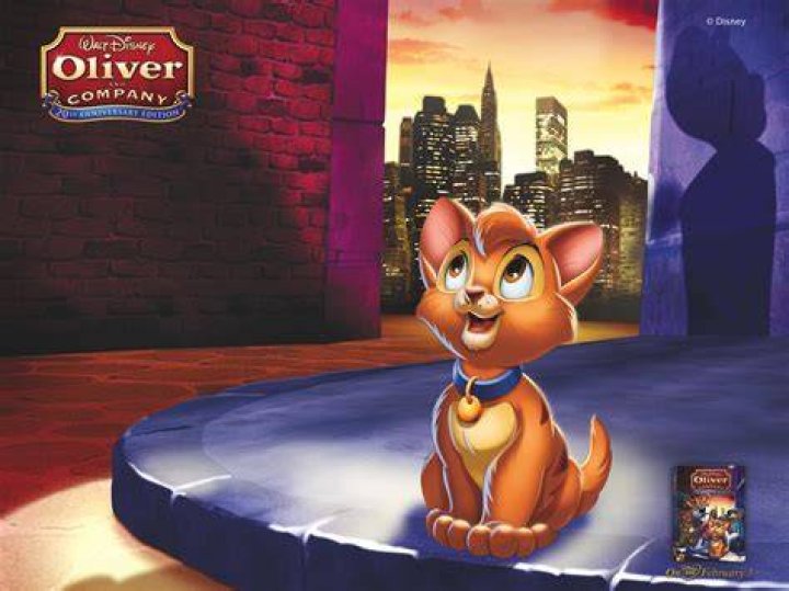 Why is Oliver and Company sad? – Celebrity